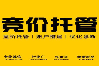 推广竞价实战经验：成功案例教你如何操作
